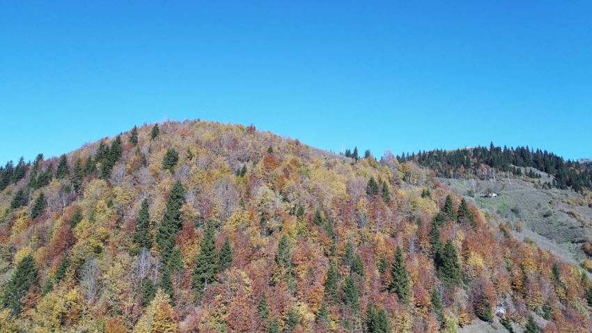 Karadeniz yaylalarında sonbahar