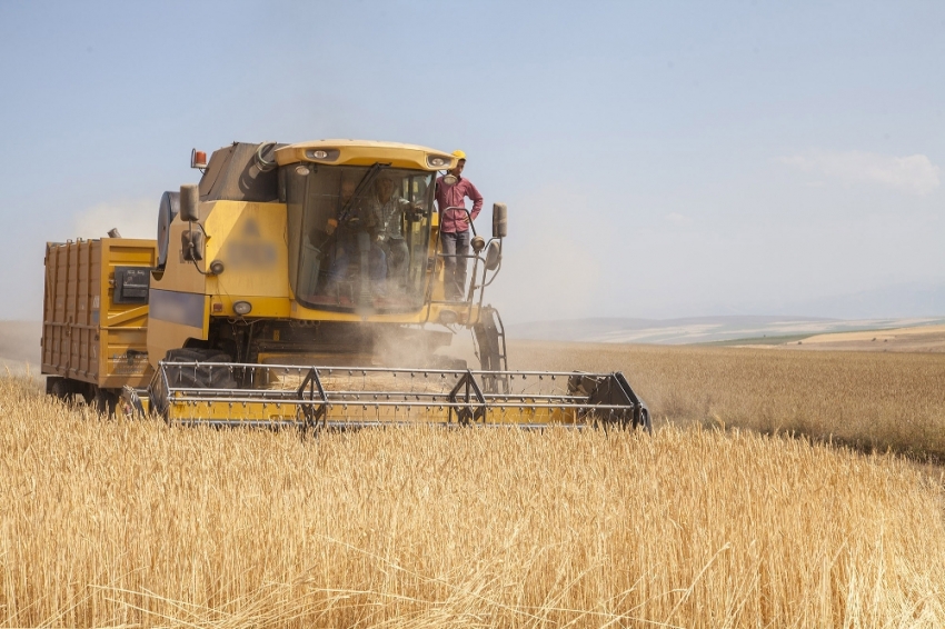 Buğday, arpa, mısır ve pirinç ithalatında tarife kontenjanı açıldı