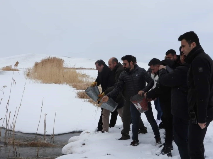 Çaldıran’da yaban hayvanları için sulak alanlara yem bırakıldı
