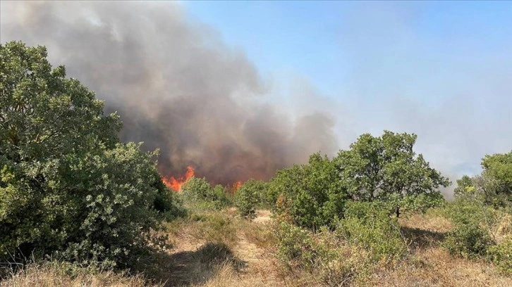 Çanakkale'de ağaçlık alanda yangın çıktı