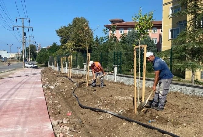 Canik’te parklar ağaçlandırılıyor
