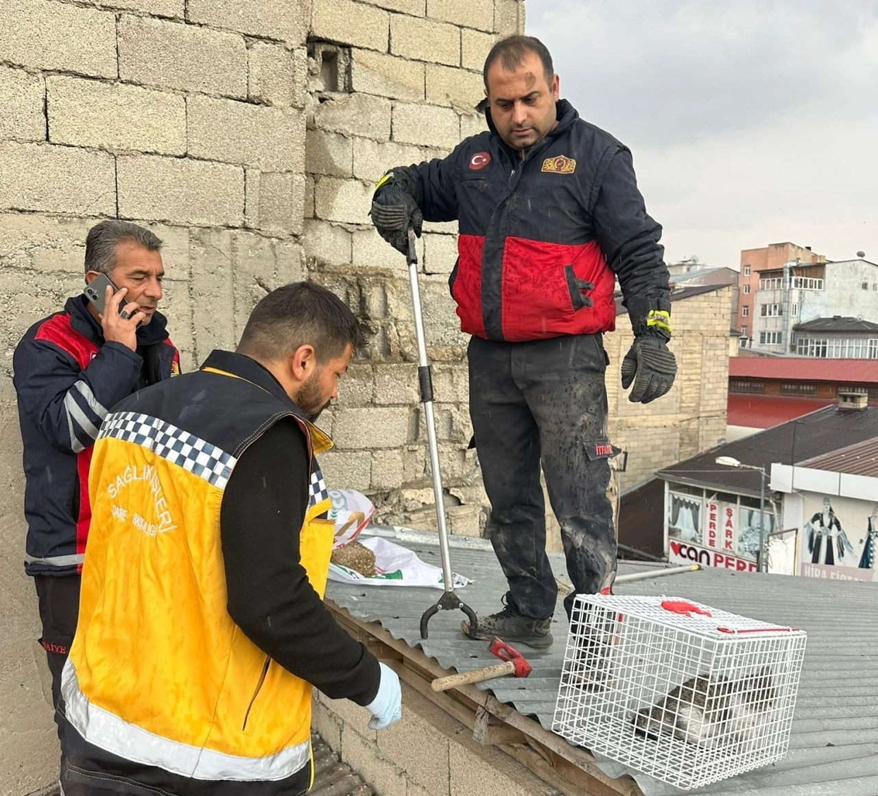 Çatıda mahsur kalan kedi itfaiye ekipleri tarafından kurtarıldı
