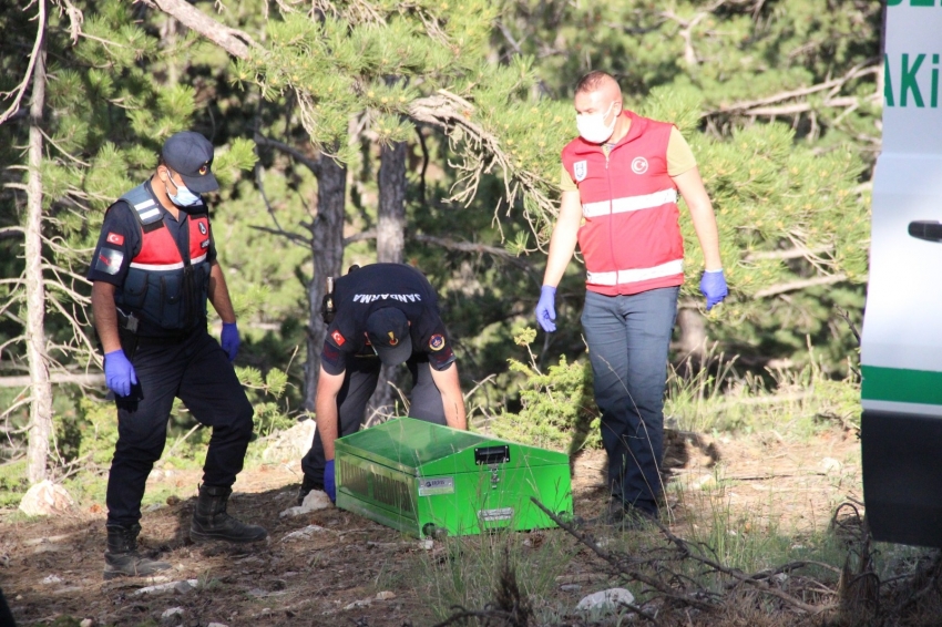 Kayıp şahsın cesedi ormanlık alanda bulundu