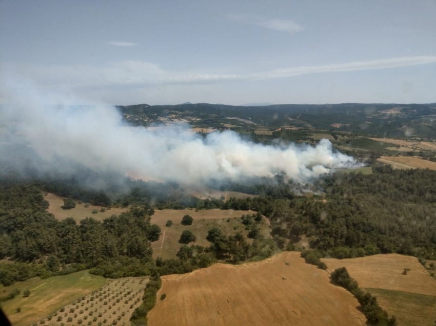 Çanakkale’de orman yangını