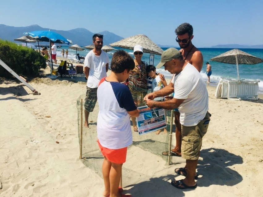 Kuşadası sahillerine Caretta Carettalar yuva yaptı