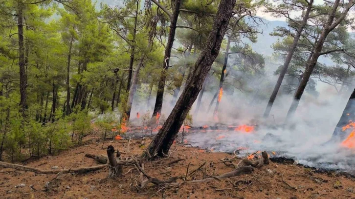 Cehennem Deresi yanıyordu, orman ve itfaiyeciler kurtardı
