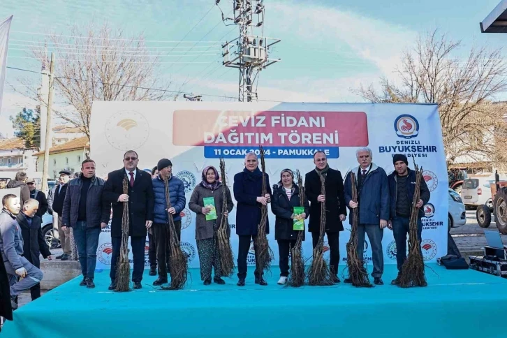 Cevizin merkezi Denizli olacak
