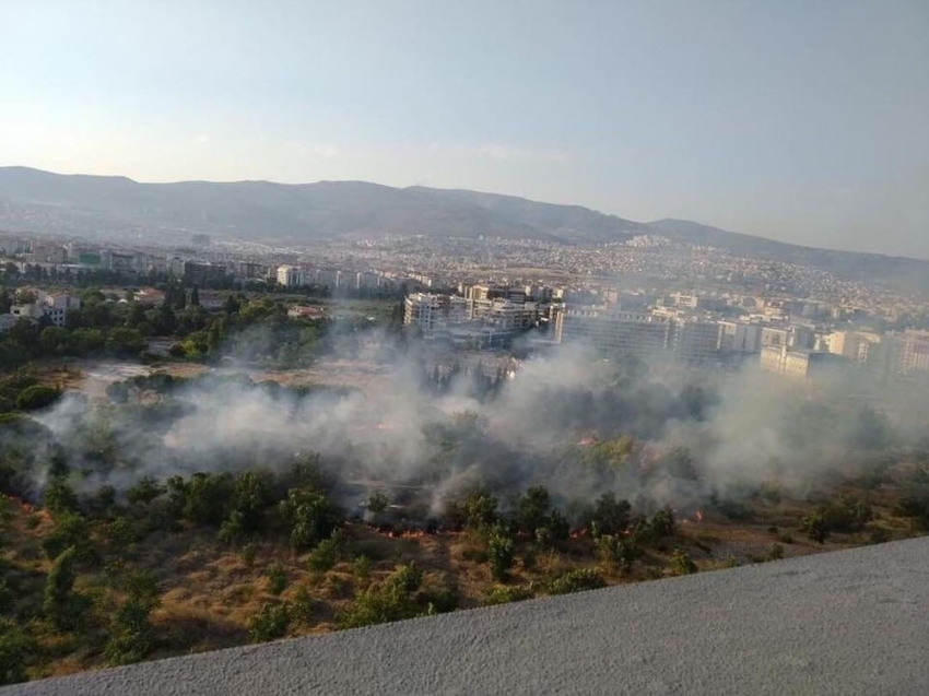 Yediemin deposunda çıkan yangında araçlar kül oldu