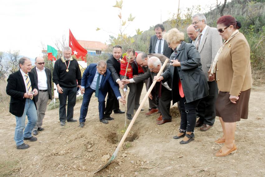 Mudanya'da Türkiye Bulgaristan dostluğu çınarı