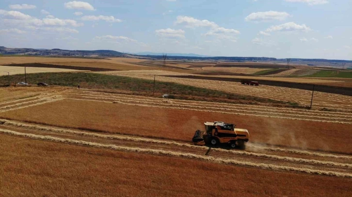 Çiftçi umduğundan daha fazla ürün aldı
