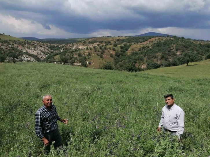 Çiftçiler, büyükşehirin projesinden yüksek verim aldı
