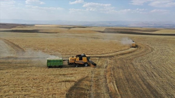 Çiftçilere yaklaşık 47,2 milyon liralık tarımsal destekleme ödemesi bugün yapılacak