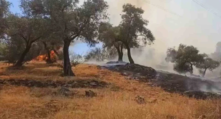 Çine’deki yangın kontrol altına alındı
