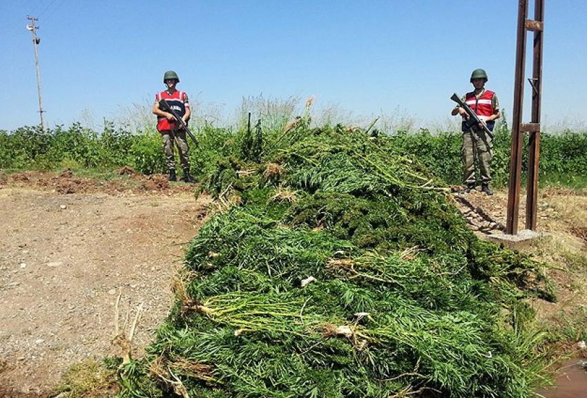 'PKK'nın en büyük kazancı uyuşturucudan'