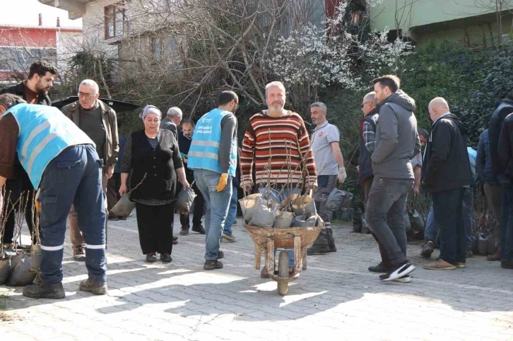 Coğrafi işaret için gün sayan ‘mor patlıcan inciri’ fidanları üreticilere dağıtıldı