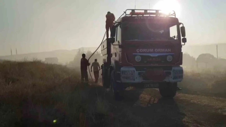 Çorum’da 15 bin dönüm arazi küle döndü
