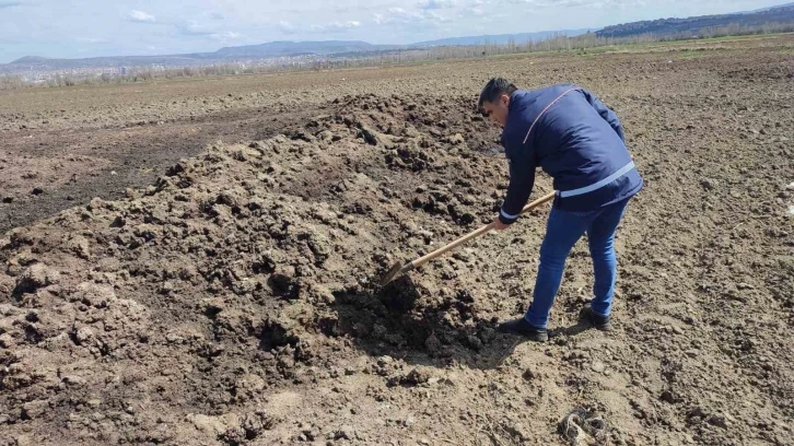 Çorum’da vektörle mücadelede üreme alanları tespit ediliyor
