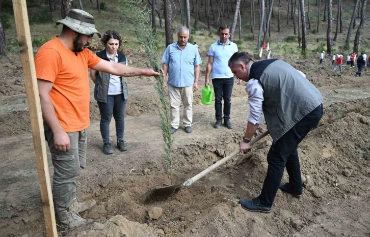 Cumhuriyet’in 100’üncü yılında 1923 fidan dikildi
