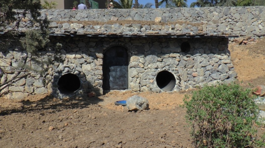 Türkiye’nin ilk çizgili sırtlanının evi tamam