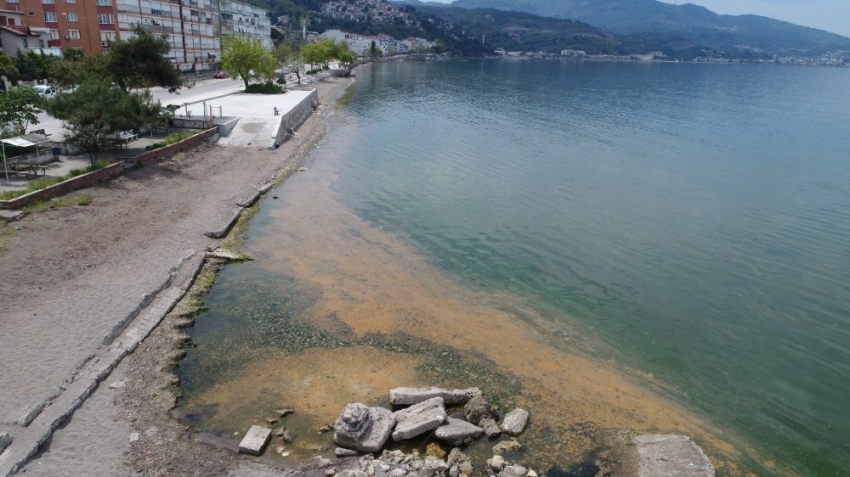 Gemlik Körfezi’nde şaşkına çeviren görüntü