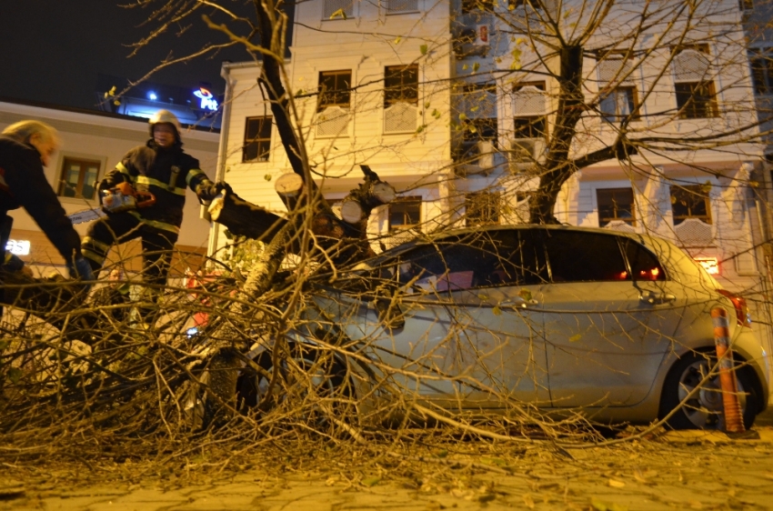 Ağaç otomobilin üzerine devrildi