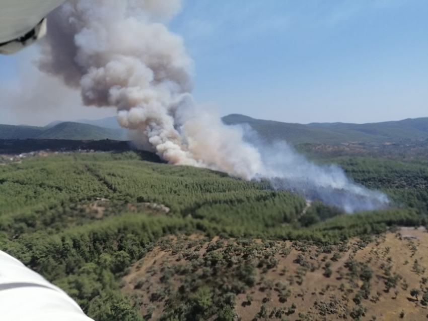 Bodrum’daki yangın 6 saat sonra söndürüldü 