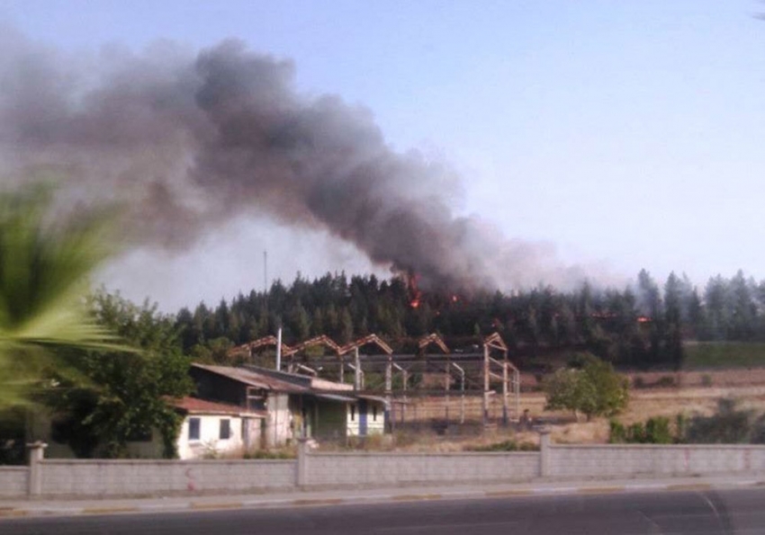 Denizli’de orman yangınına 1 gözaltı