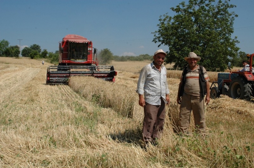 Hububat alım fiyatları açıklandı