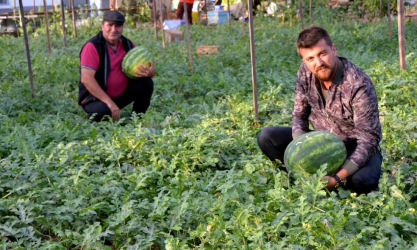 Kekik kokulu karpuz üretti, sipariş patladı