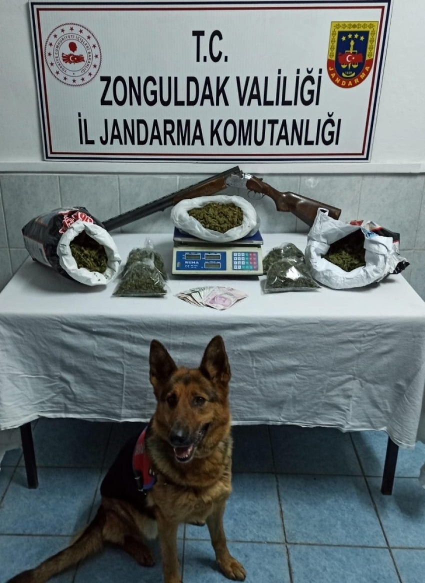 Zonguldak’ta 5 kilo kubar esrarla yakalanan 2 kişi tutuklandı