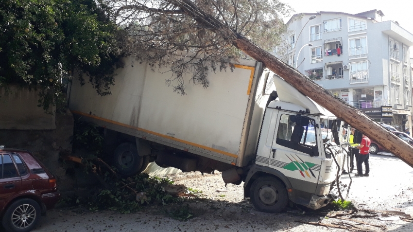 Yasak olan yokuşa giren kamyonet freni patlayınca ağaçları yerinden söktü