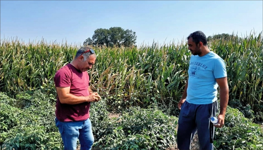 Mudanya Tarım Müdürlüğü, çiftçilere zararlılarla mücadeleyi anlattı