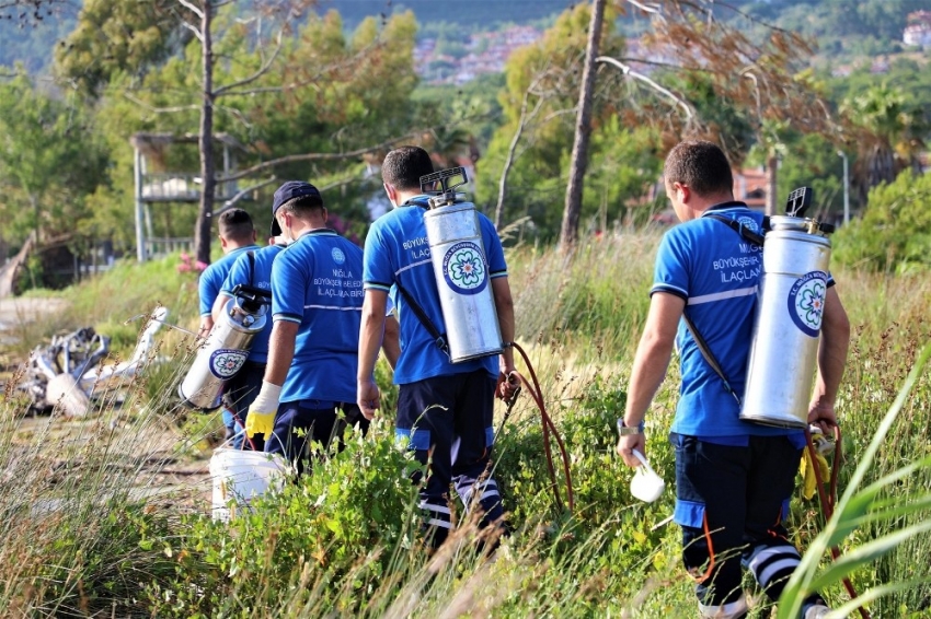 Muğla’da vektör ile mücadelede devam ediyor