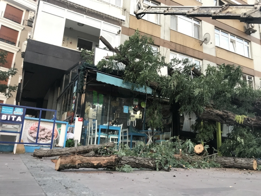 Akasya ağacı kafenin üzerine devrildi