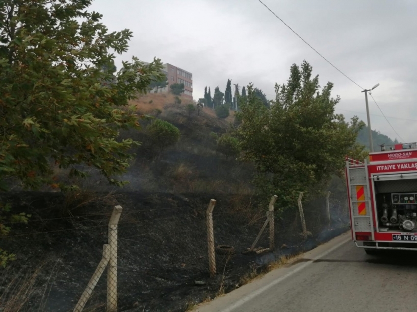 Karacabey’de çıkan yangında hayvanlar telef oldu