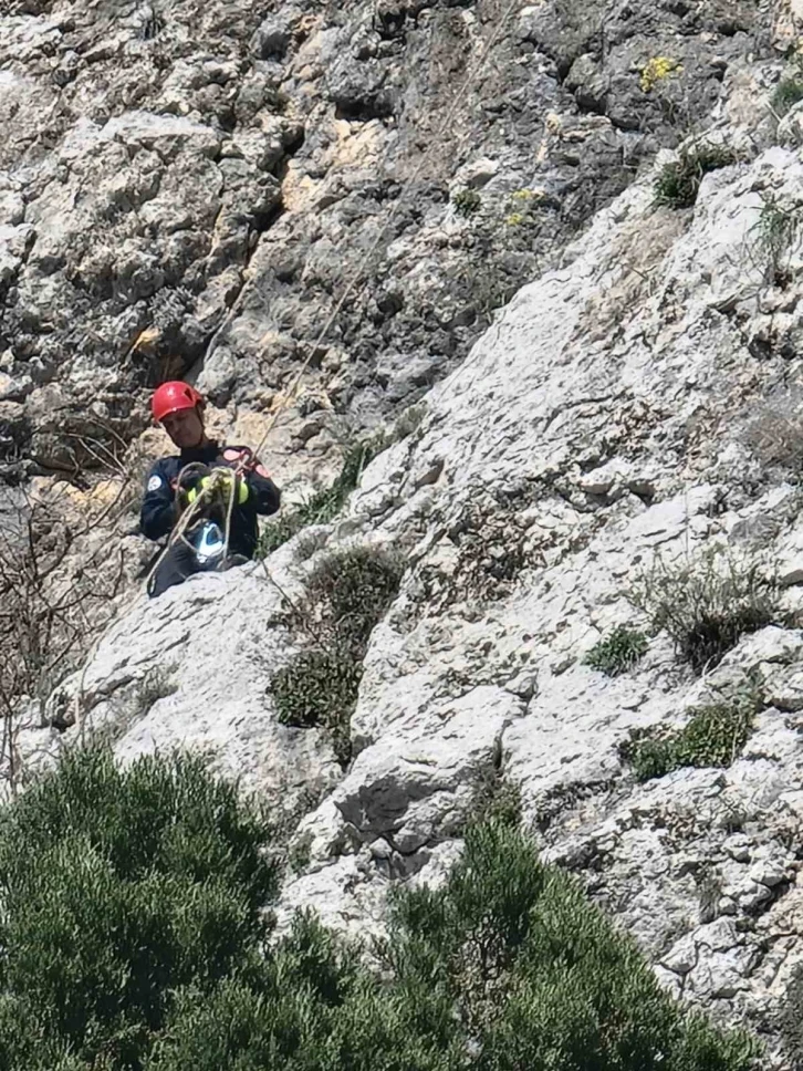 Dağda mahsur kalan keçi itfaiye ve AKOM ekipleri tarafından kurtarıldı
