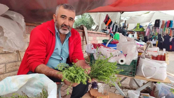 Dağlardan topladığı kekikler geçim kaynağı oldu
