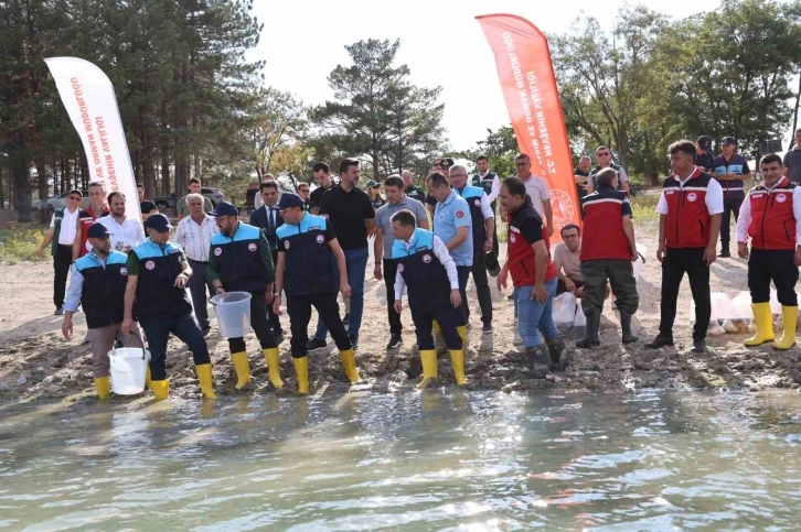 Damsa Barajı’na 350 bin yavru balık bırakıldı
