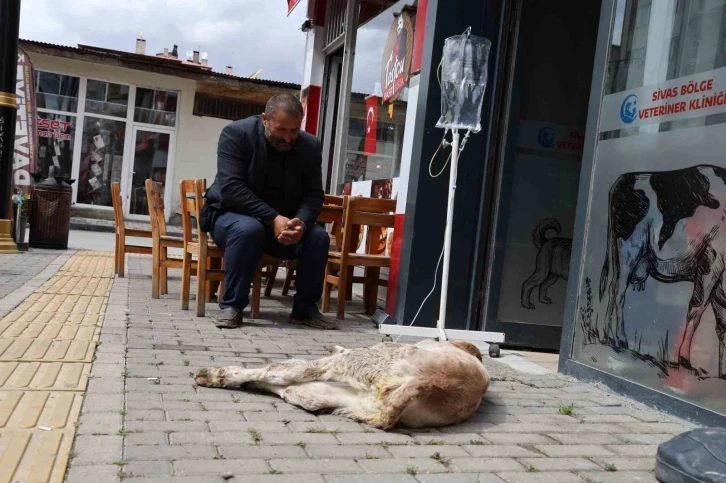 Dana Umut’un sahibinin merhameti görenlerin içini ısıttı
