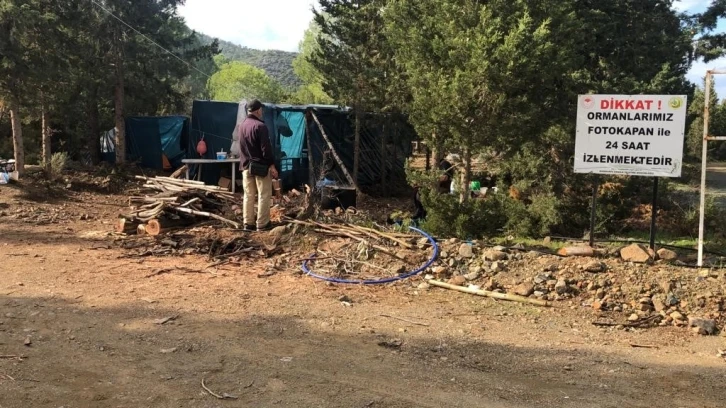 Datça’da ormanlar bakıma alındı
