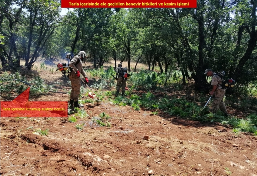 PKK terör örgütünün finans kaynağına dev operasyon