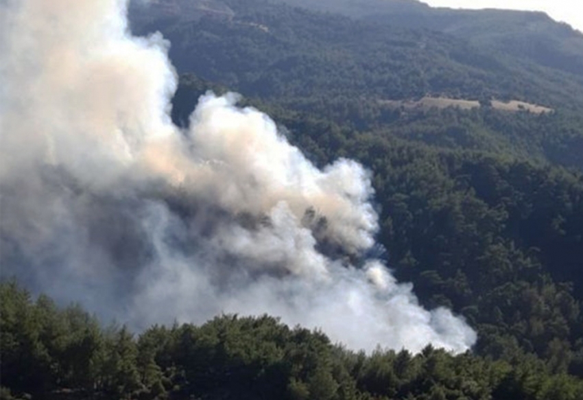 Muğla’da orman yangını