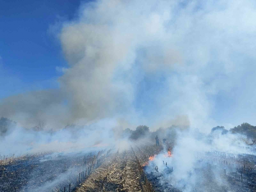 Anız yangını itfaiye ekiplerine zor anlar yaşattı