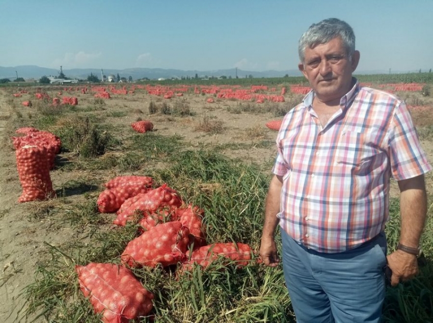 Bursa'da çiftçi zor durumda!