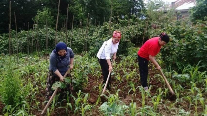 En çok Karadeniz kadını çalışıyor