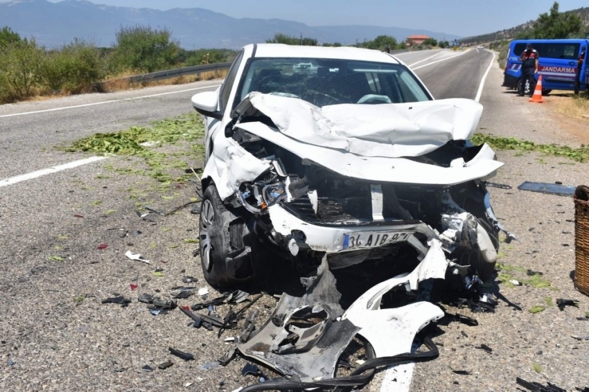 Tütün toplamaya gitmişti, kazada hayatını kaybetti