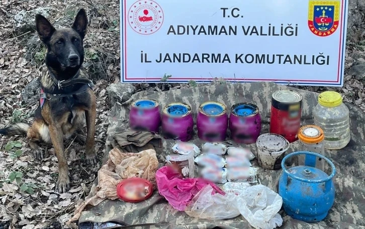 Dedektör köpek Leylak, iş başında