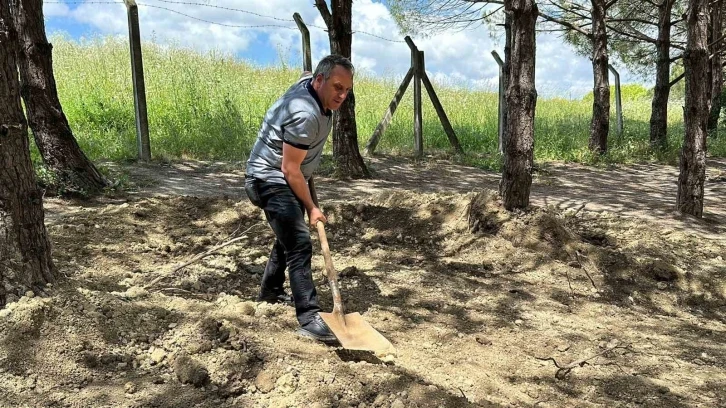 Definecilerin talan ettiği şehit mezarlığı ve çevresine mahalleli sahip çıktı
