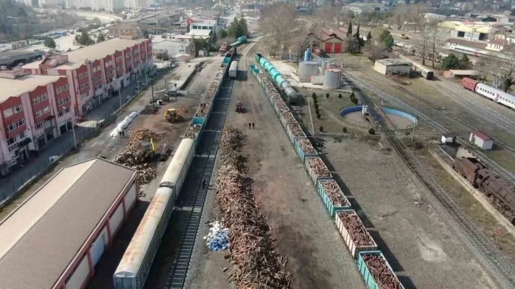 Deprem bölgesi için toplanan odunlar trenle gönderilecek
