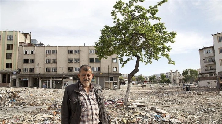 Depremde yıkılan çay ocağından geriye kalan kayısı ağacından vazgeçemiyor